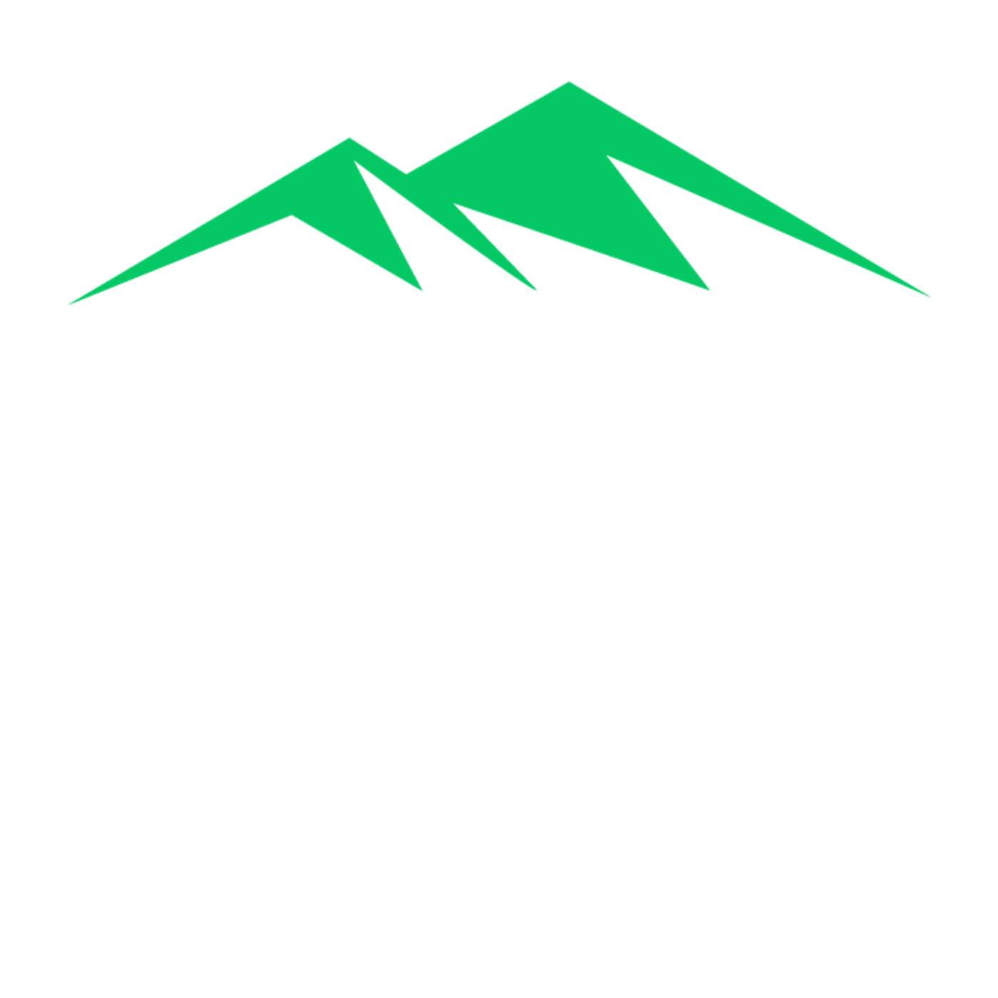 99.5 The Mountain logo